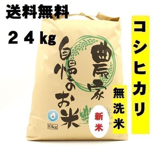 新米コシヒカリ24kg　令和4年度　米/穀物　無洗米　栃木県産