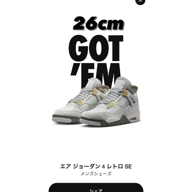 Nike Air Jordan 4 Retro SE "Craft" 26cmメンズ