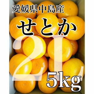 柑橘の大トロ！！愛媛県中島産【せとか】2Lサイズ 5kg(フルーツ)