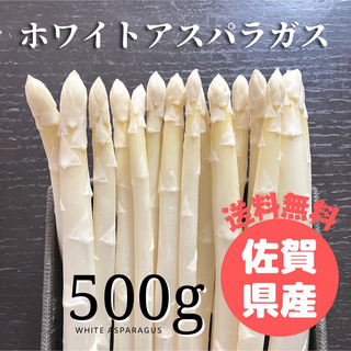 佐賀県産　ホワイトアスパラガス(野菜)