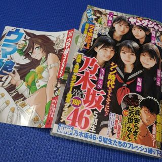 シュウエイシャ(集英社)のウマ娘 ブックカバー付録 週刊ヤングジャンプ  4,5号  応募用紙無(青年漫画)