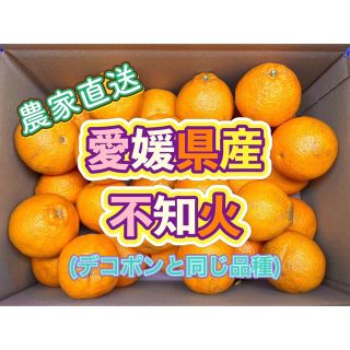愛媛県産 不知火(デコポンと同じ品種) 【小玉】【家庭消費向け】 5kg(フルーツ)
