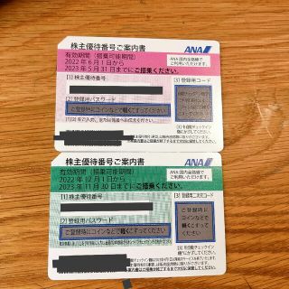 エーエヌエー(ゼンニッポンクウユ)(ANA(全日本空輸))のANA株主優待券 2枚(その他)