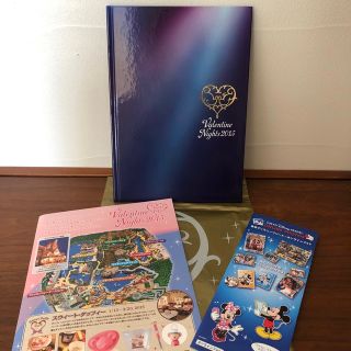 ディズニー(Disney)の●ディズニーシー バレンタインナイト 2015 冊子 パンフレット(キャラクターグッズ)