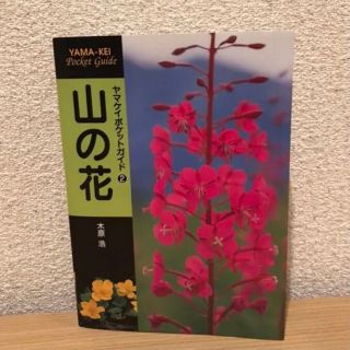 ヤマケイポケットガイド2 山の花 書籍(その他)