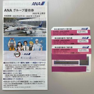 ANA株主優待券3枚　ANAグループ優待券冊子(その他)