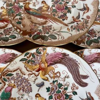 希少品】ロイヤルクラウンダービー☆オールドエイビス☆ディナー皿 6枚