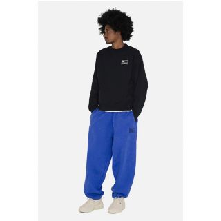 STUSSY - STUSSY & NIKE FLEECE PANT BLUE XLサイズの通販 by でぶ