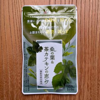 和漢の森　桑の葉&茶カテキンの恵み　120粒入　約１ヶ月分(その他)