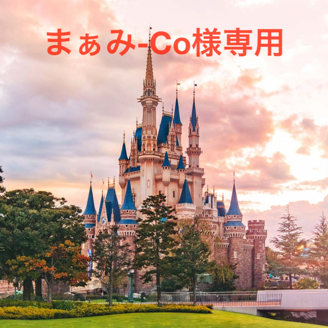 Disney - まぁみ-Co様専用☆2点おまとめの通販 by kumako's shop