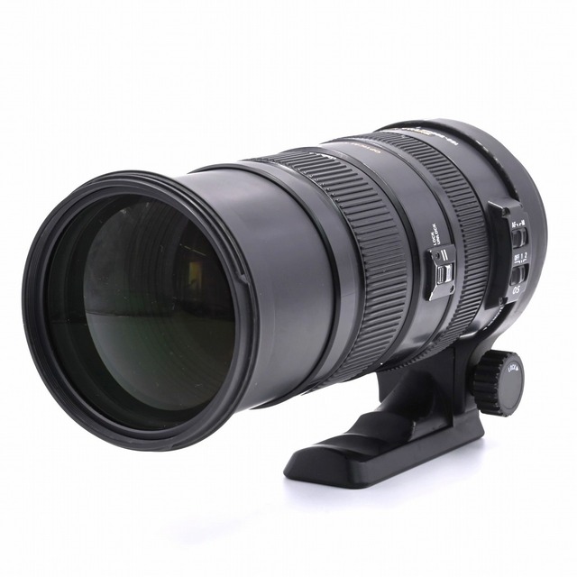 SIGMA APO 150-500mm F5-6.3 DG OS HSM ニコン 【上品】 kinetiquettes.com