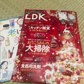 LDK (エル・ディー・ケー) 2022年 12月号(その他)