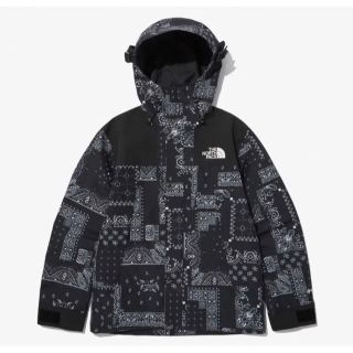 レア☆THE NORTH FACE☆ ペイズリー マウンテンジャケット 2XL