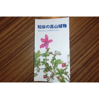 知床の高山植物(趣味/スポーツ/実用)