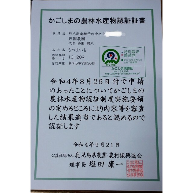 種子島産シルクスイート　5キロ 食品/飲料/酒の食品(野菜)の商品写真