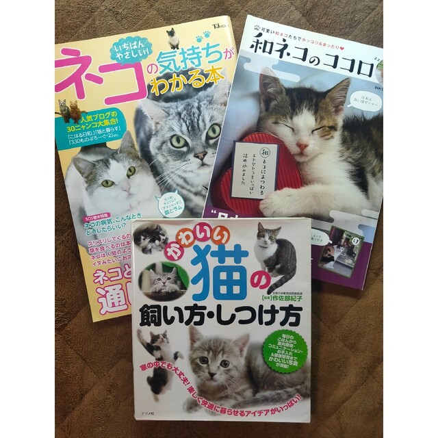 猫 飼い方 しつけ方 ネコ ペット 生き物 趣味 雑誌 ニャン 本 飼育 小説 その他のペット用品(猫)の商品写真