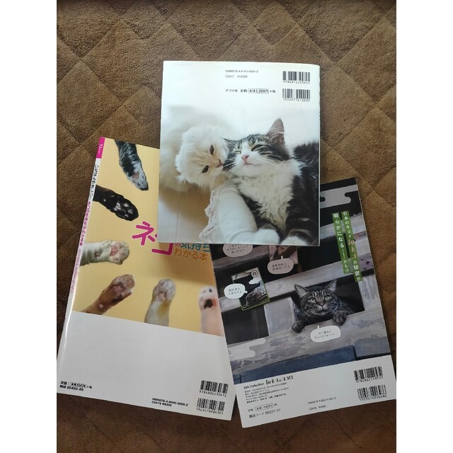 猫 飼い方 しつけ方 ネコ ペット 生き物 趣味 雑誌 ニャン 本 飼育 小説 その他のペット用品(猫)の商品写真