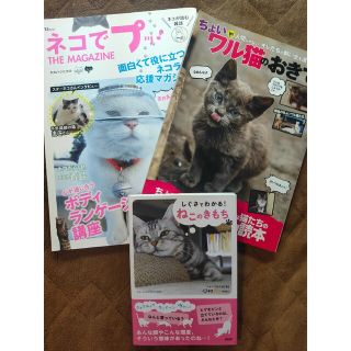 しぐさ ねこ  生き物 小説 人生 ワル猫 本 猫 趣味 ペット 飼い方 雑誌(猫)