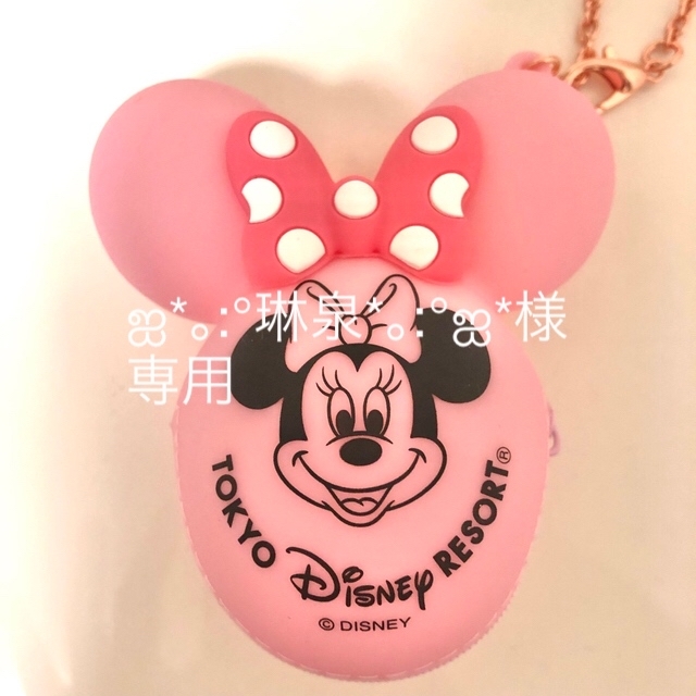 Disney(ディズニー)のディズニー　ミニーマウス　バッグチャームケース付 エンタメ/ホビーのおもちゃ/ぬいぐるみ(キャラクターグッズ)の商品写真