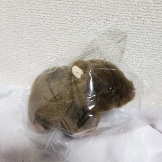 新品未使用タグ付き 五月山動物園 ウォンバット マスコット ワイン(ぬいぐるみ)