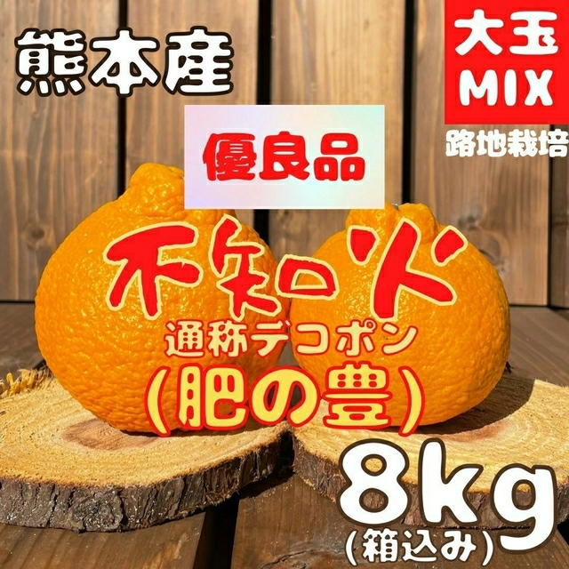 肥の豊不知火 優良品 大玉MIX8kg(デコポン)