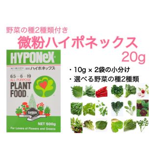 【微粉ハイポネックス20g】種2種類付き！(野菜)