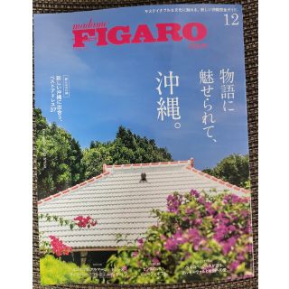 madame FIGARO japon (フィガロ ジャポン) 2022年 12(その他)