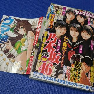 ノギザカフォーティーシックス(乃木坂46)のウマ娘 ブックカバー付録 週刊ヤングジャンプ  4,5号  応募用紙無(アート/エンタメ/ホビー)