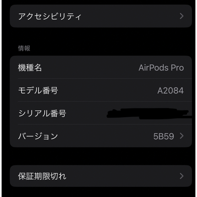 Apple AirPods Pro 第1世代 MWP22J/A (58265)