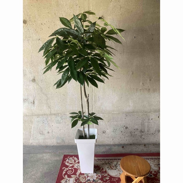 光触媒 人工観葉植物 ウォールグリーン フェイクグリーン シェフレア