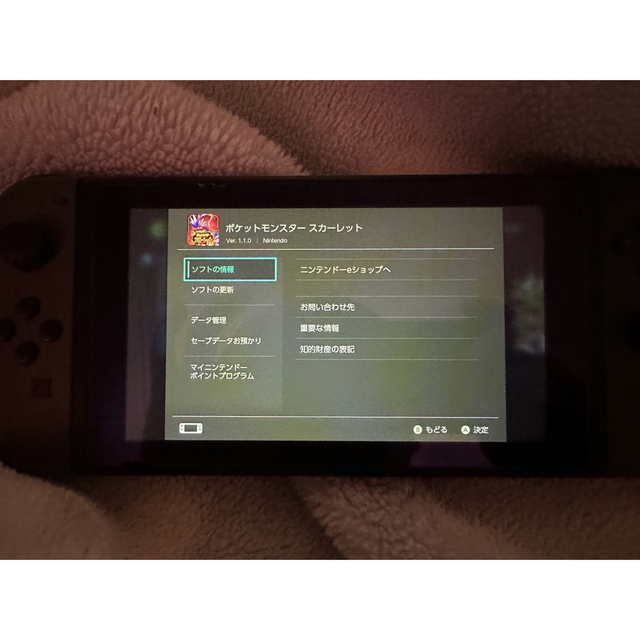 Nintendo Switch - 任天堂Switch おシャボ全種カンスト