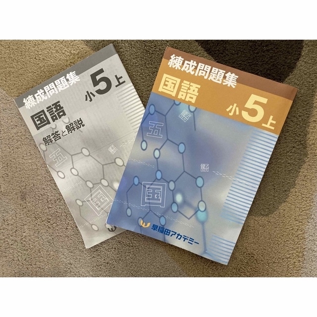 ☆3冊セット☆早稲田アカデミー 練成問題集小5 （国語・社会・理科