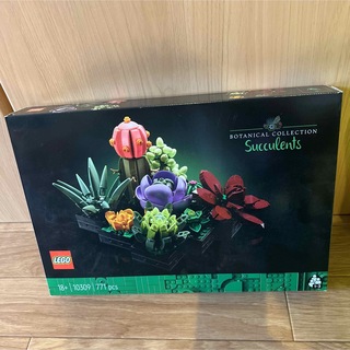 レゴ(Lego)のレゴ　10309 【正規品】ボタニカルコレクション　Succulents(知育玩具)