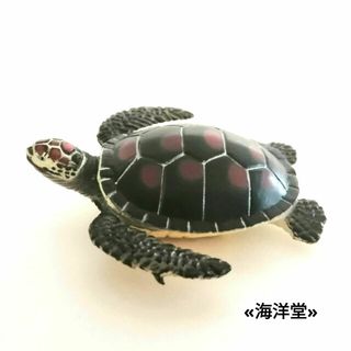 カイヨウドウ(海洋堂)の🉐🐢【単品】「アオウミガメ」  亀フィギュア(その他)