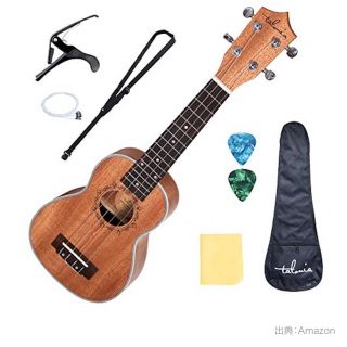 マーティン ウクレレの通販 31点 | Martinの楽器を買うならラクマ