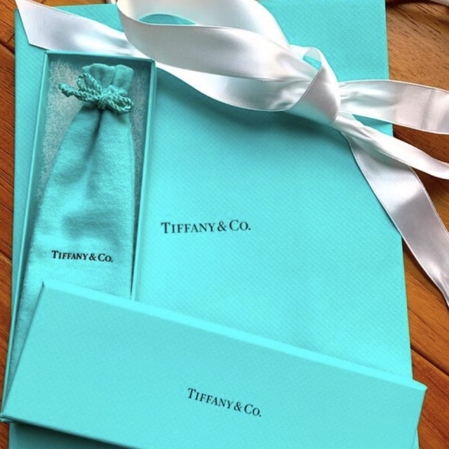 Tiffany & Co.(ティファニー)のティファニー　ボールペン　エルサ・ペレッティ✴︎新品未使用✴︎ インテリア/住まい/日用品の文房具(ペン/マーカー)の商品写真