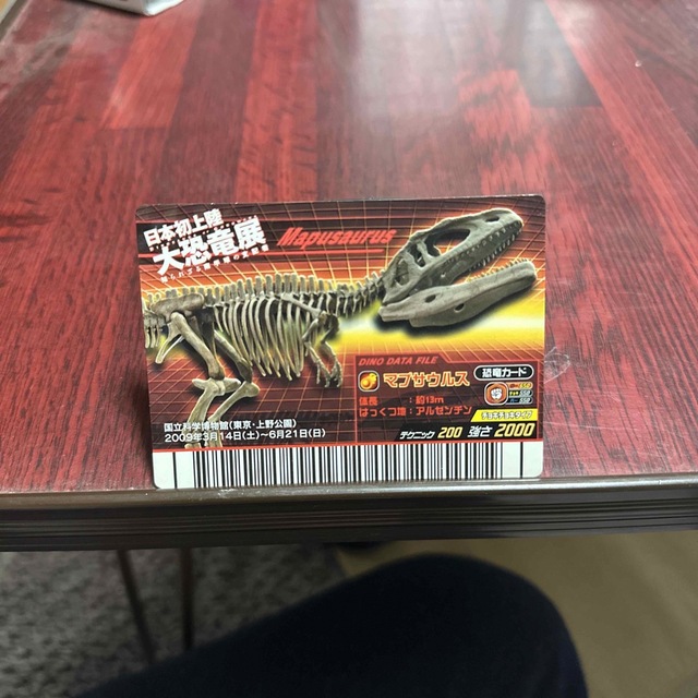 恐竜キングカード