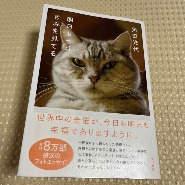 角川書店(カドカワショテン)の明日も一日きみを見てる エンタメ/ホビーの本(ノンフィクション/教養)の商品写真