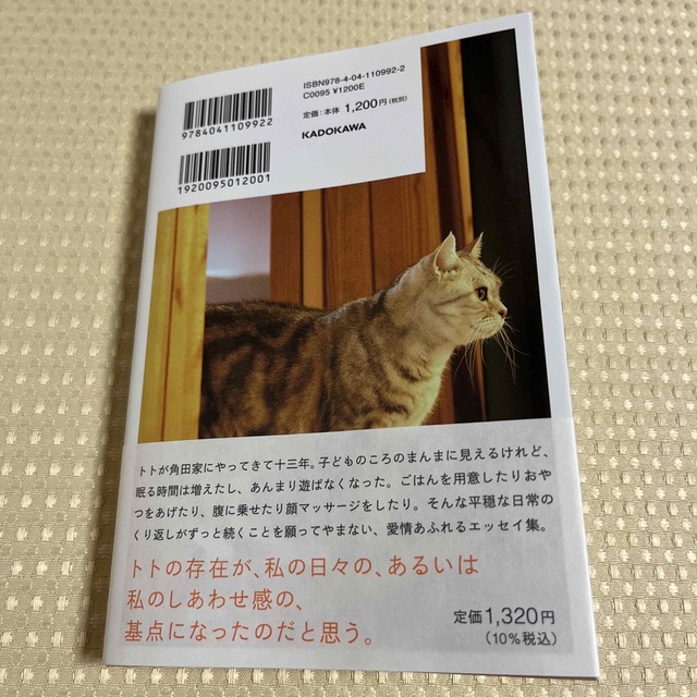 角川書店(カドカワショテン)の明日も一日きみを見てる エンタメ/ホビーの本(ノンフィクション/教養)の商品写真