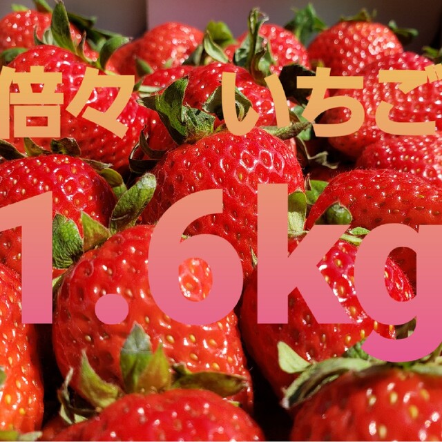 natsuriri様専用】いちご 熊本産 ゆうべに 最終便の通販 by 🍓トルネコ