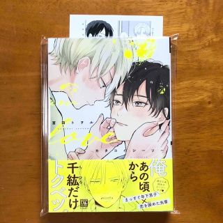 カタコイシーソー　宮田トヲル　新品未読　特典ペーパー付き　初版(ボーイズラブ(BL))