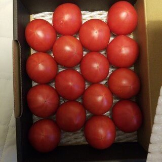 三重県産フルーツトマト定価4500円(野菜)