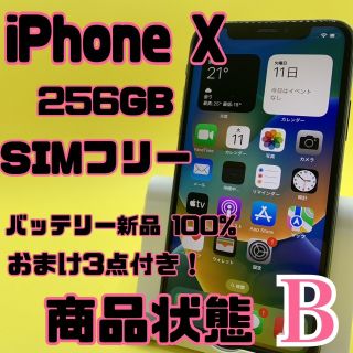 格安美品】iPhone X 256GB simフリー 40 | cranio-gindl.at