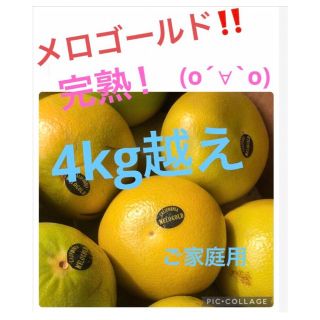 メロゴールド　4kg越え ご家庭用(フルーツ)