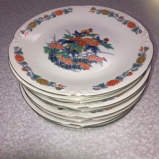 古伊万里　有田焼　草木・花柄　輪華皿　金彩(食器)