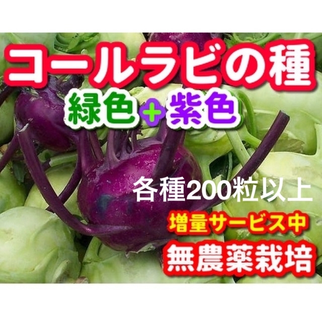 hirohiro様専用★コールラビ種・各200粒以上➕丸にんじんの種 食品/飲料/酒の食品(野菜)の商品写真