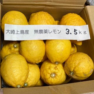 広島県大崎上島産無農薬レモン　3.5kg(フルーツ)