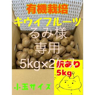 【るみ様専用】キウイ10kg(フルーツ)