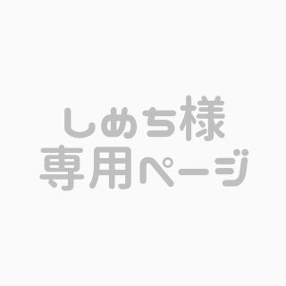 ジャニーズ(Johnny's)のしめち様専用商品(アイドルグッズ)