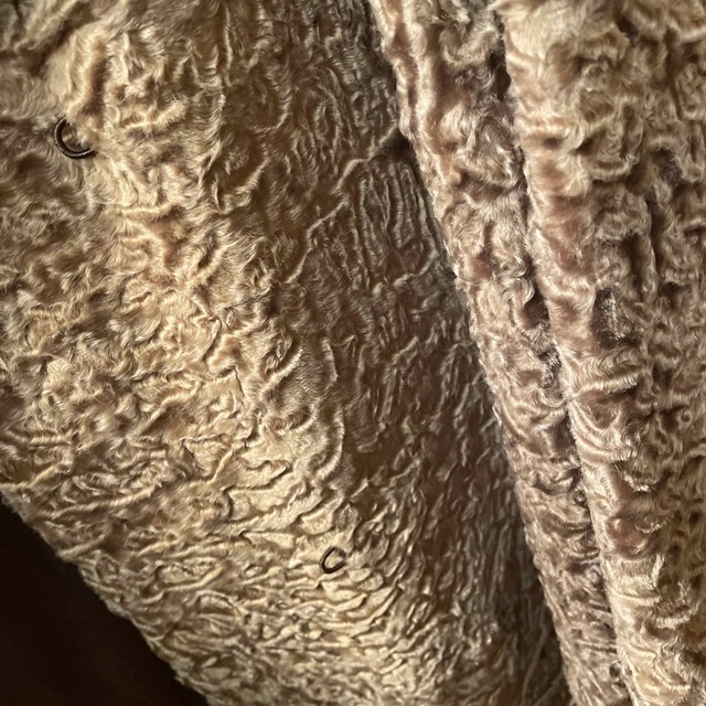 毛皮コート レディースのジャケット/アウター(毛皮/ファーコート)の商品写真